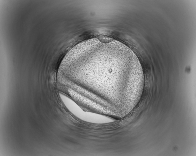 X0000099310425200805231407