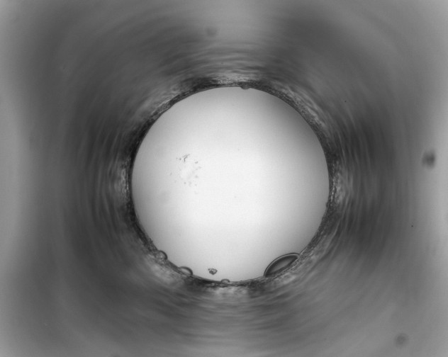 X0000099310426200805231407