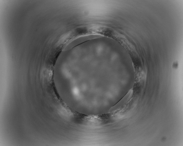 X0000099310427200805231407