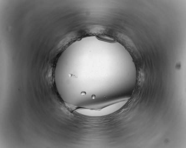 X0000099310428200805231407