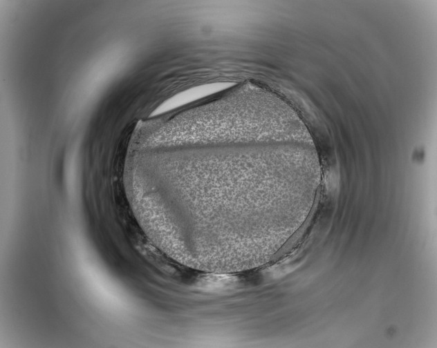 X0000099310429200805231407