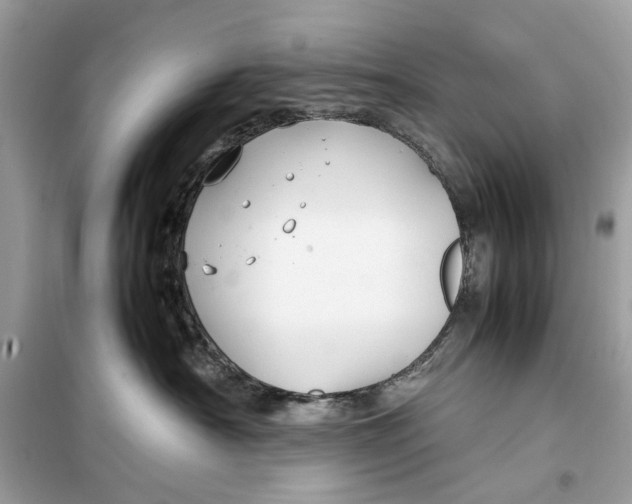 X0000099310430200805231407