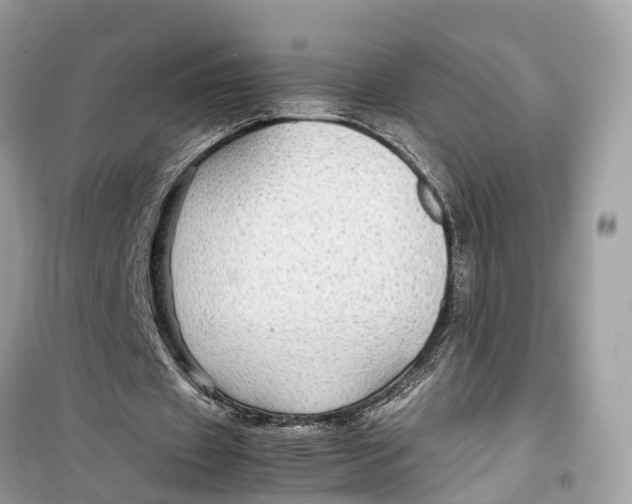 X0000099310433200805231406