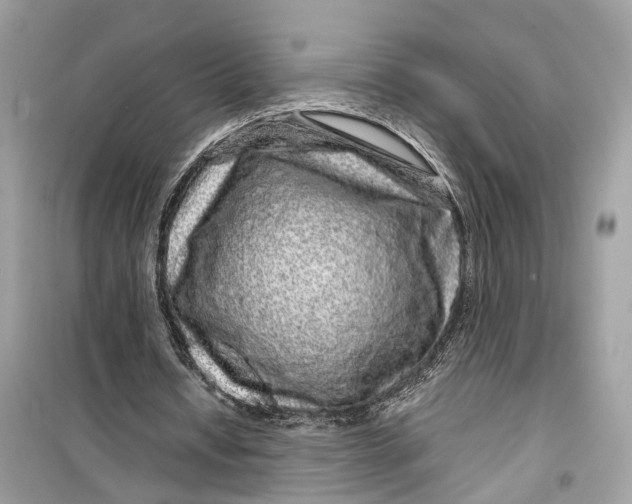 X0000099310434200805231406