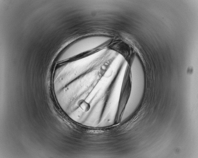 X0000099310435200805231406