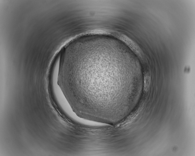 X0000099310436200805231406