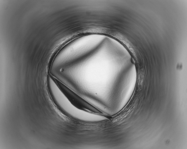 X0000099310437200805231406