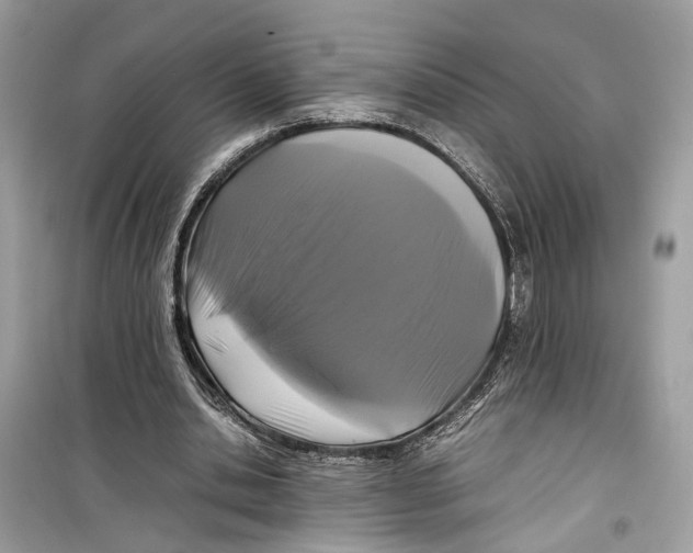 X0000099310438200805231406