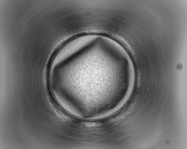 X0000099310439200805231406