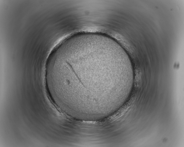 X0000099310440200805231406