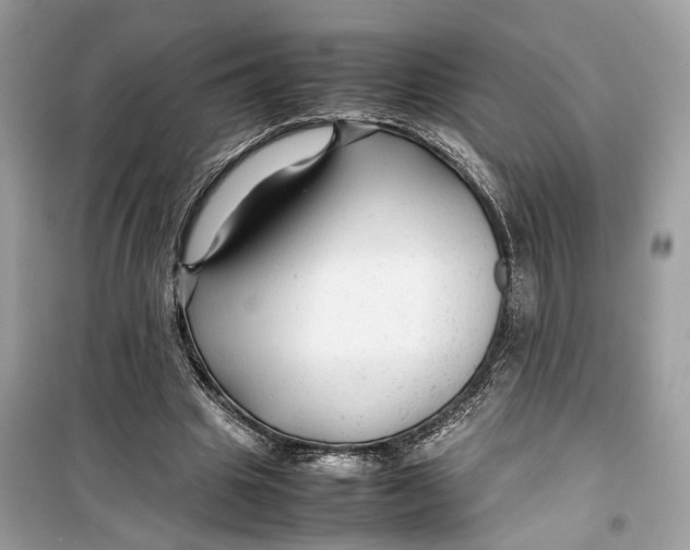 X0000099310441200805231406