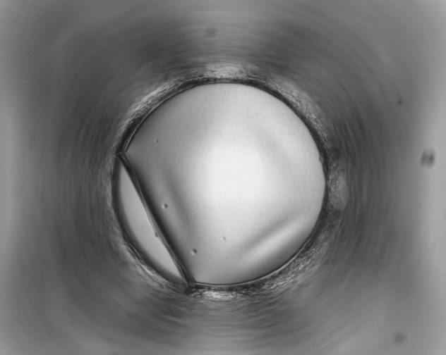 X0000099310442200805231406