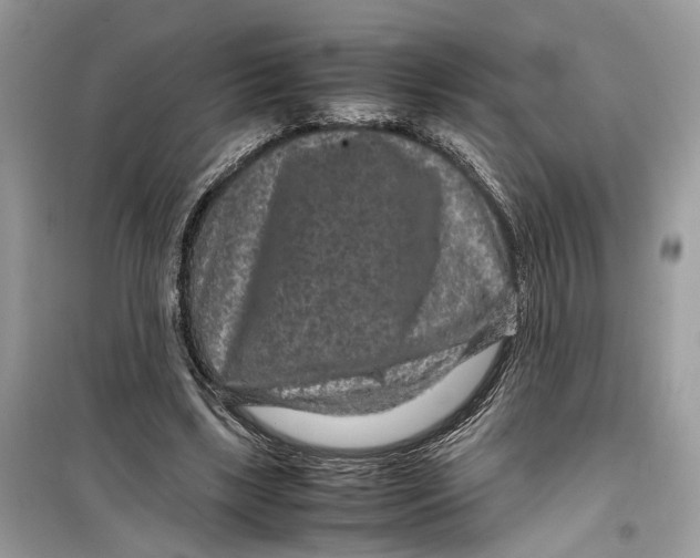 X0000099310443200805231406