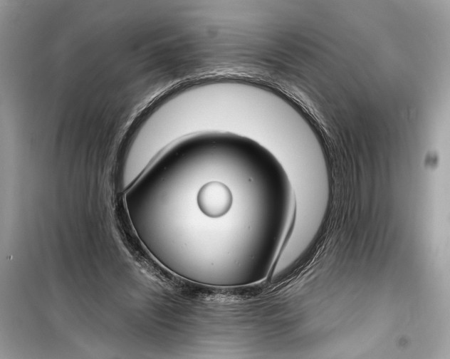 X0000099310444200805231406