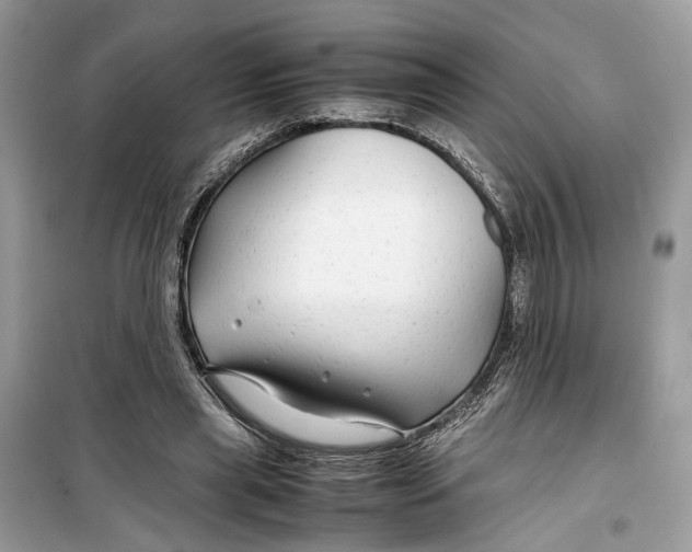 X0000099310445200805231406