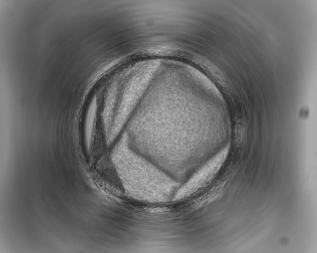 X0000099310446200805231407