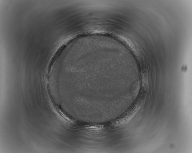 X0000099310447200805231407