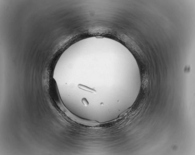 X0000099310448200805231407