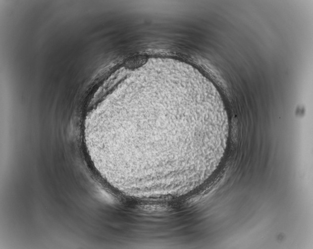 X0000099310449200805231407