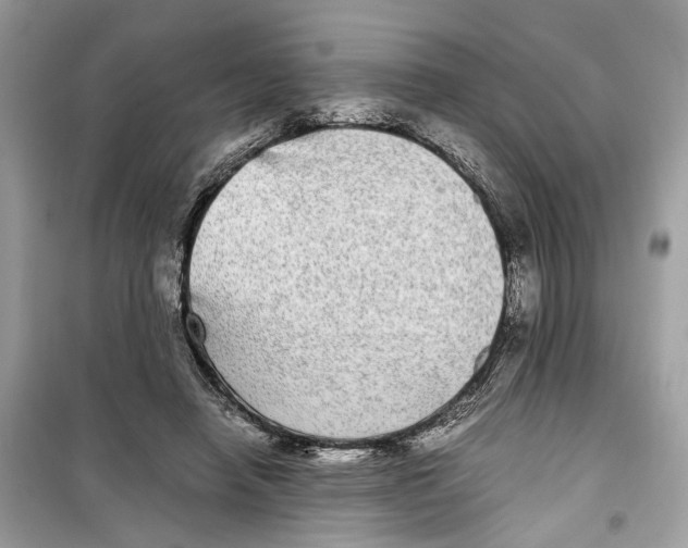 X0000099310450200805231407