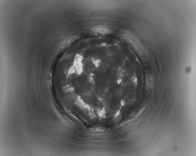 X0000099310451200805231407