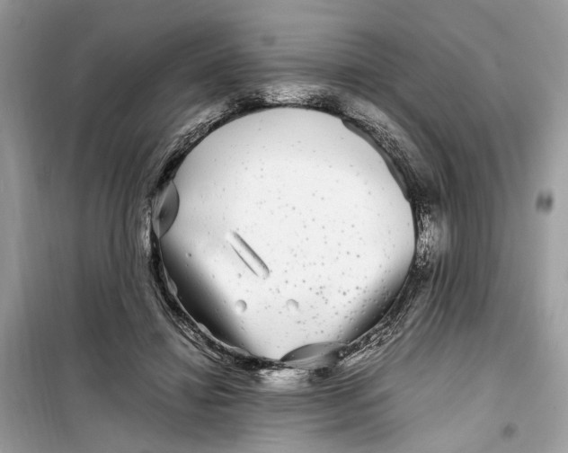 X0000099310452200805231407