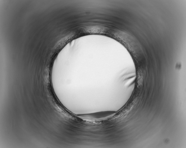 X0000099310453200805231407