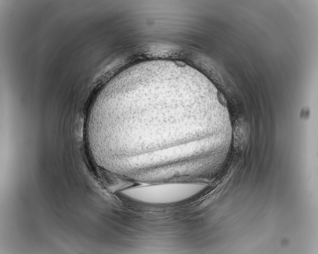 X0000099310454200805231407