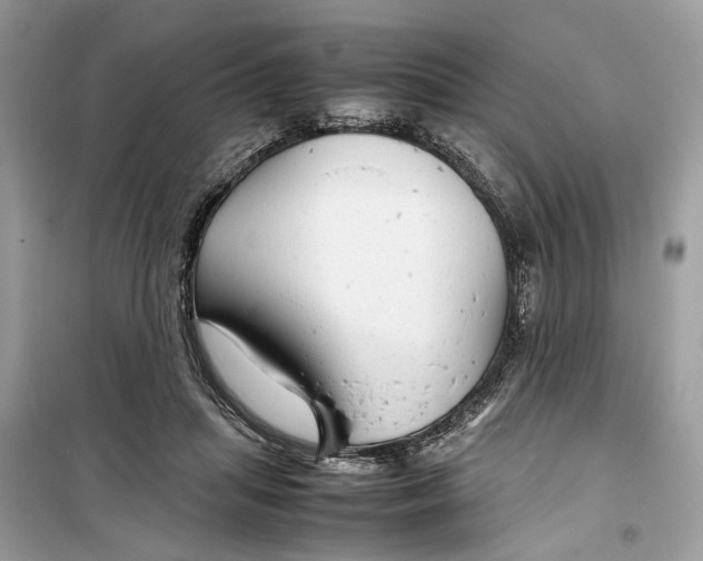 X0000099310455200805231407