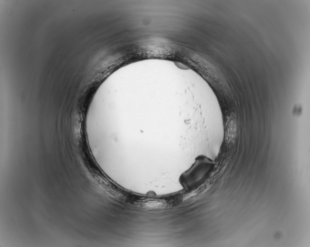 X0000099310456200805231407