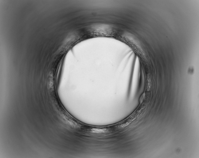 X0000099310457200805231407