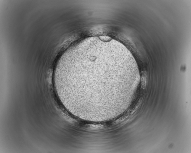 X0000099310458200805231407