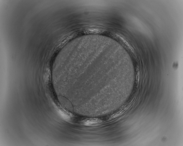 X0000099310459200805231407