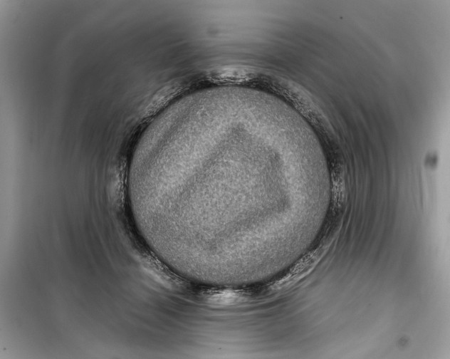 X0000099310460200805231407