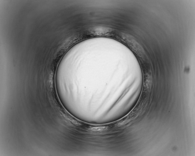 X0000099310461200805231407