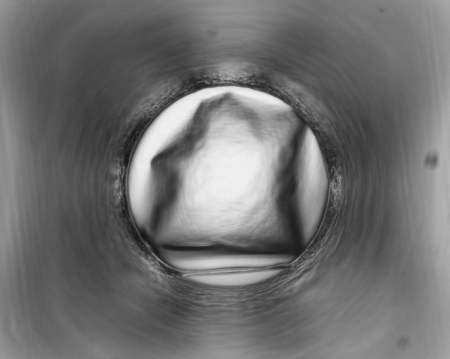 X0000099310462200805231407