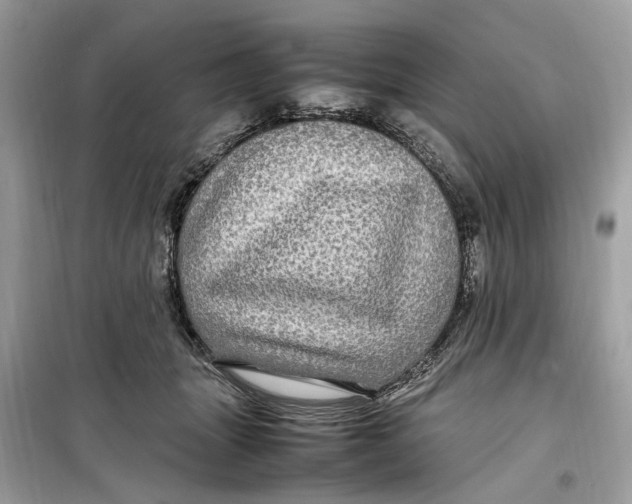 X0000099310463200805231407