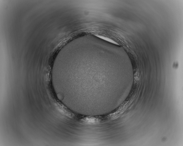 X0000099310464200805231407