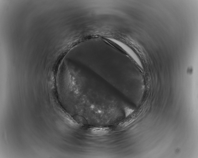 X0000099310465200805231407