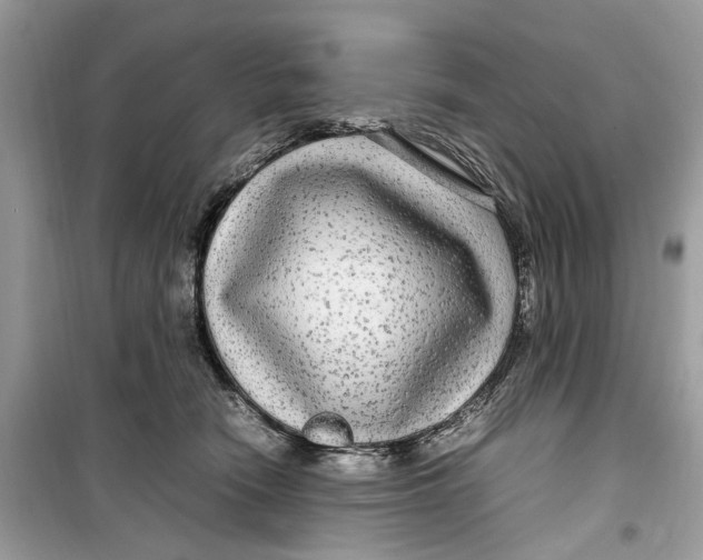 X0000099310466200805231407