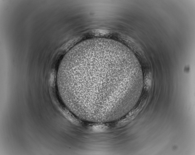 X0000099310468200805231407