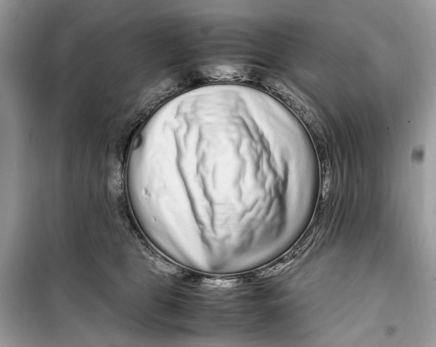 X0000099310469200805231407