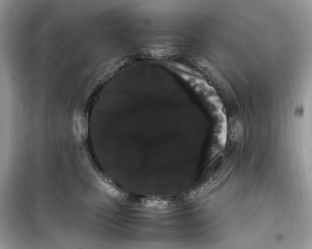 X0000099310471200805231407