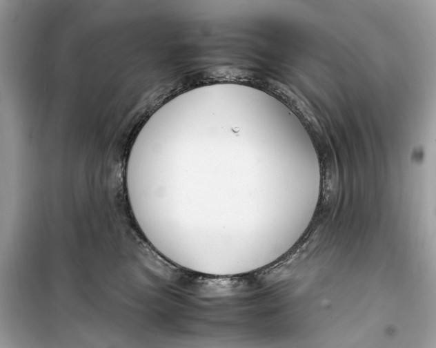 X0000099310473200805231407