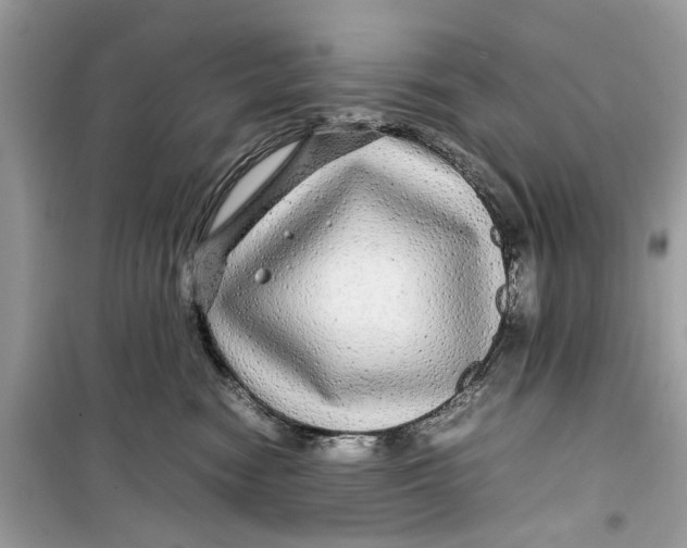 X0000099310474200805231407