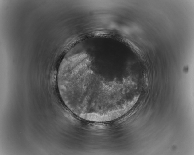 X0000099310475200805231407