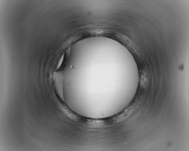 X0000099310476200805231407