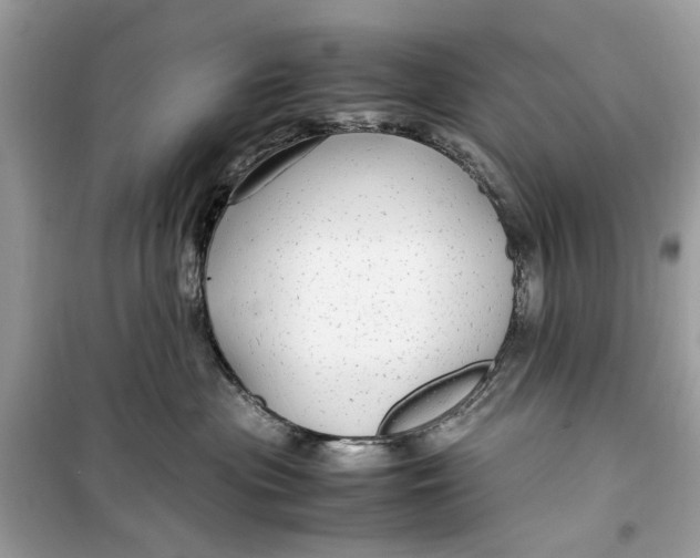 X0000099310477200805231407