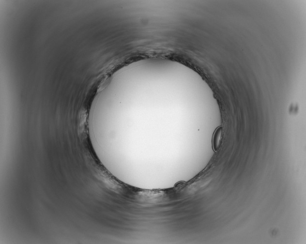 X0000099310480200805231407