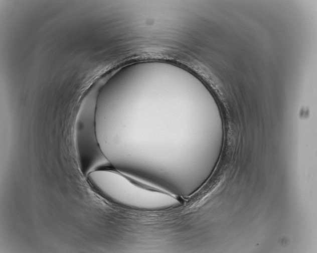 X0000099310481200805231406